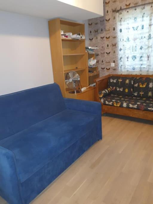 ז'נבה Appartement Dans Un Jardin מראה חיצוני תמונה