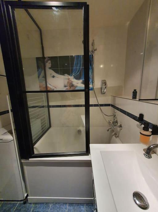 ז'נבה Appartement Dans Un Jardin מראה חיצוני תמונה