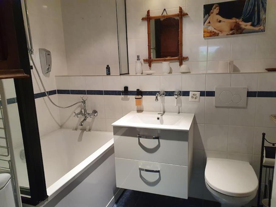 ז'נבה Appartement Dans Un Jardin מראה חיצוני תמונה